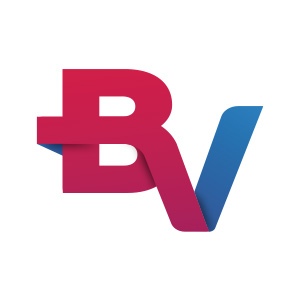 BV Financeira BV Financeira